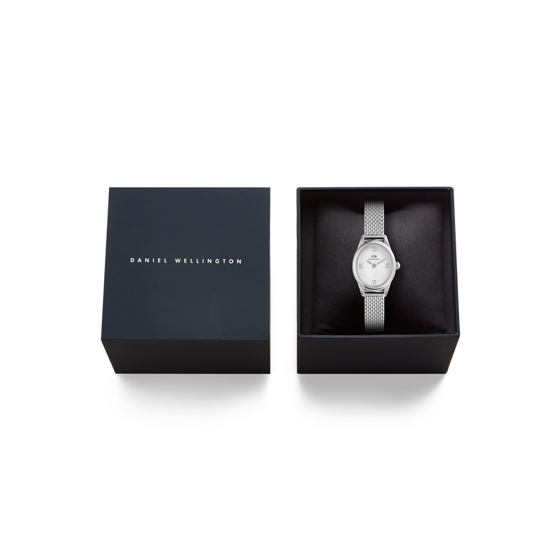 Daniel Wellington Ophelia Mini Mesh White Silver montre femme DW00100938-zoom-