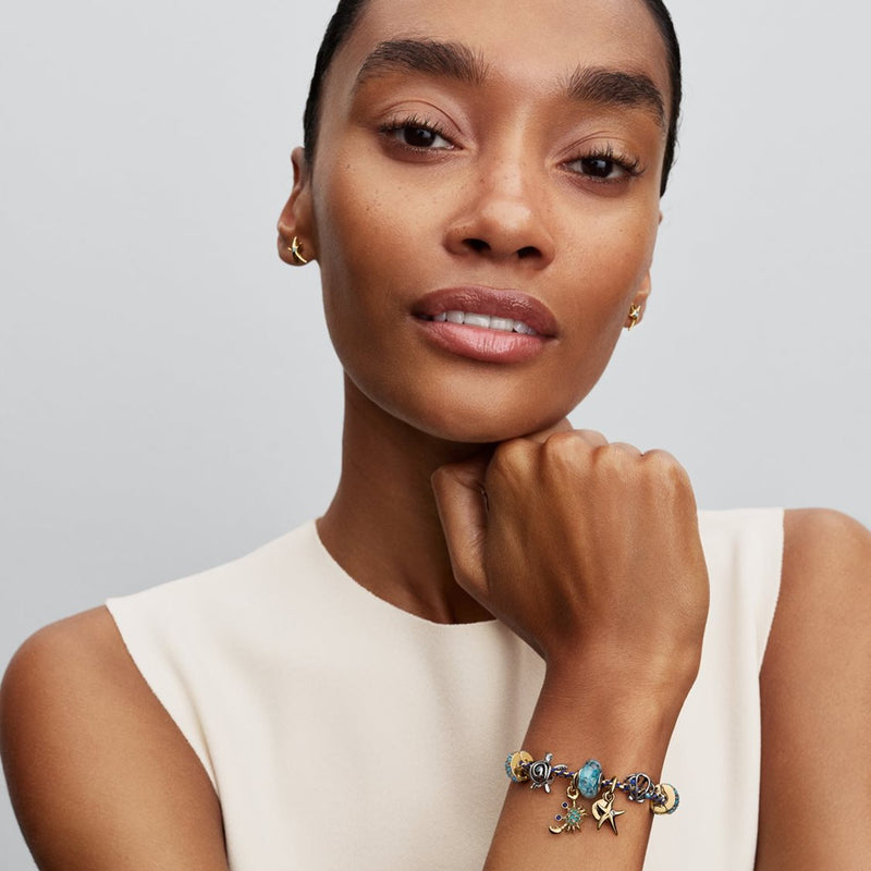 Pandora Moments Charm Tortue De Mer Ajourée Enamel 794697C01-zoom-