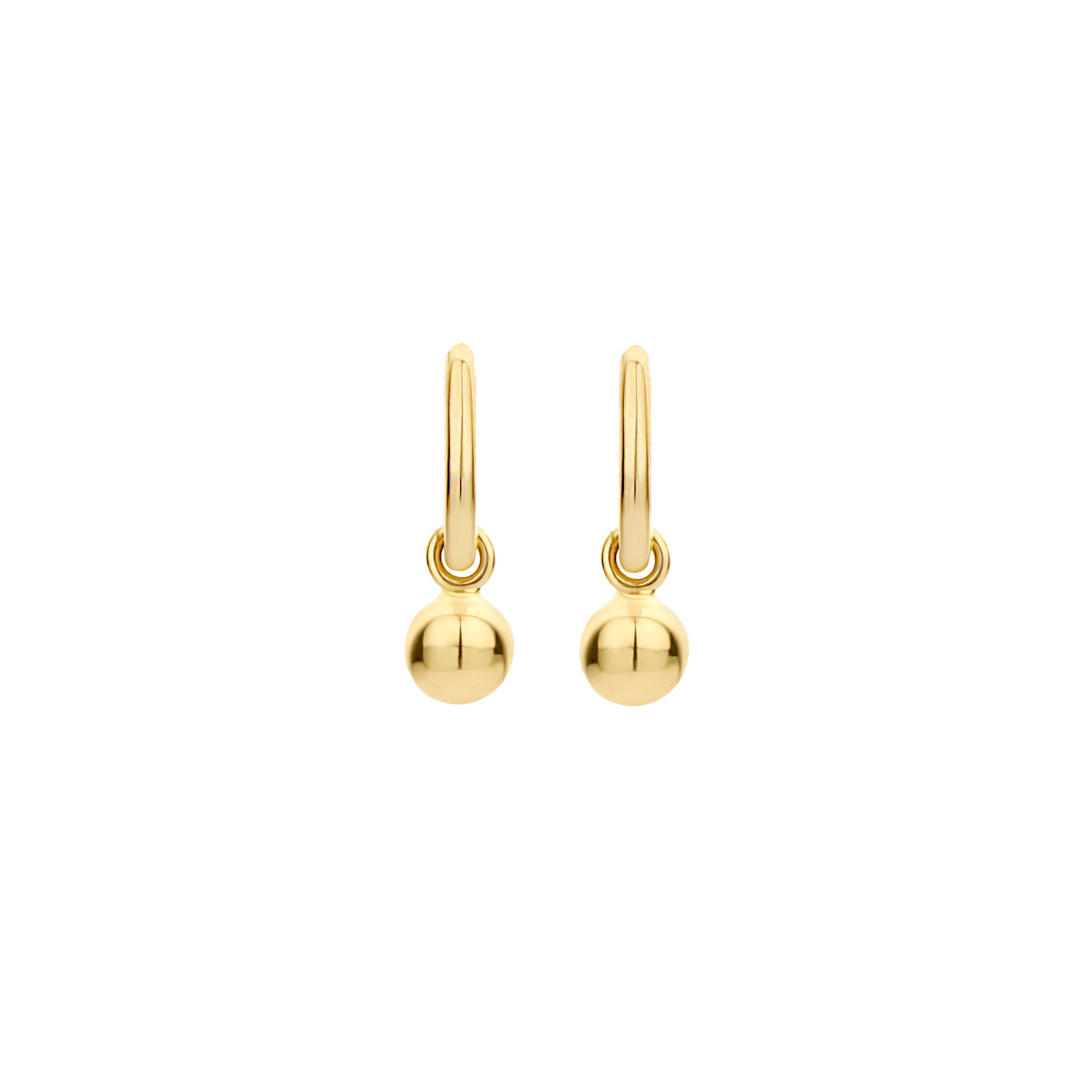 Blush 14 Carat Golden Earrings 9062YGO