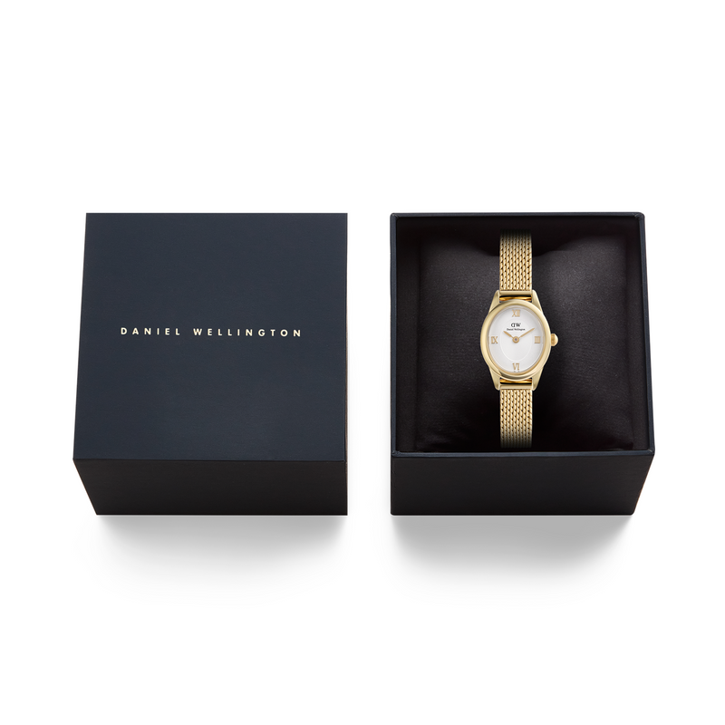 Daniel Wellington Ophelia Mini Mesh White doré montre femme DW00100939-zoom-