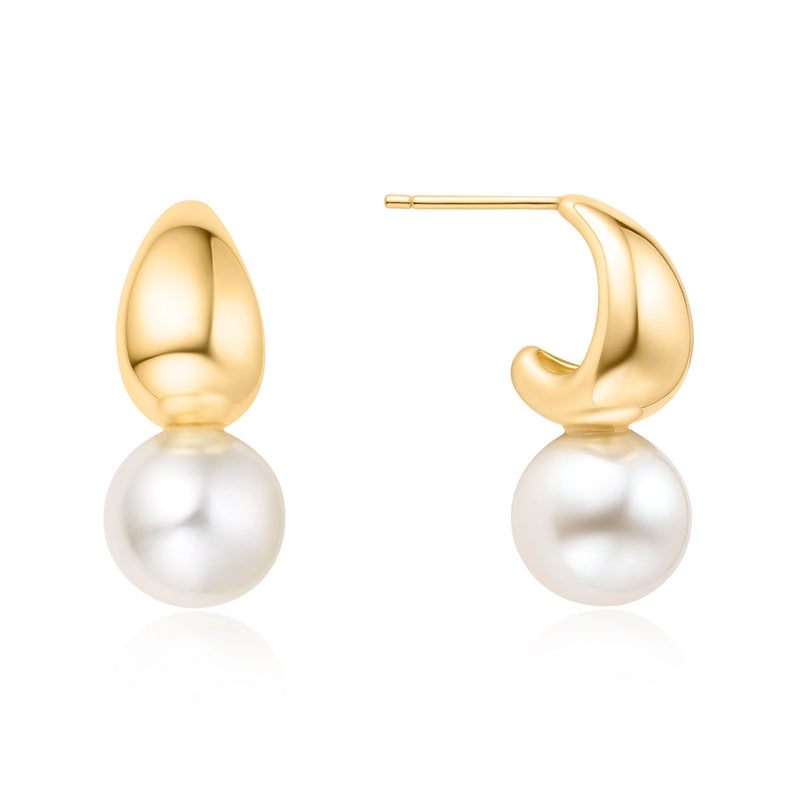 Ania Haie Voque Maven Clou D'Oreille En Argent Sterling 925 AH-E062-06G-zoom-