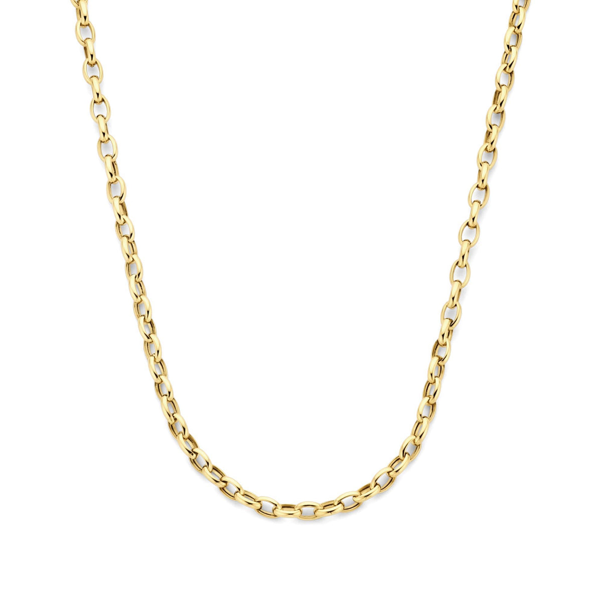Isabel Bernard Aidee Camille 14 Carat Golden Schakel Necklace IB340159