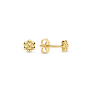 Jackie Gold Boucles d'oreilles Or 14 carats JKE23.307