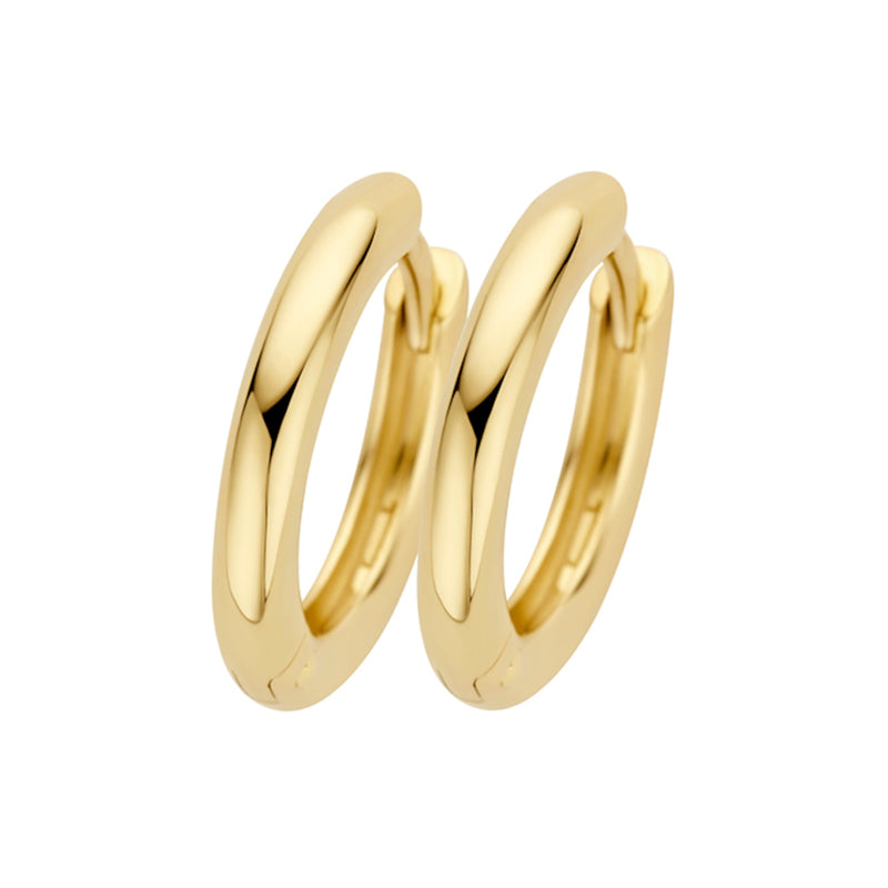 Blush 14 Karaat Gouden Oorbellen 7317YGO-zoom-