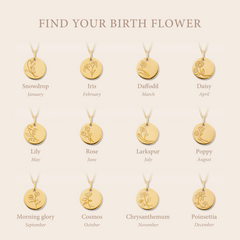 Violet Hamden Venus 925 Sterling Silver Gold-coloured Necklace with Birthflower VH340025-NOV