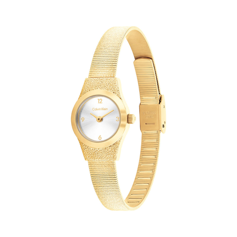 Calvin Klein CONTEMPORARY Zilverkleurig Dames Horloge 2002-CK25100193-zoom-