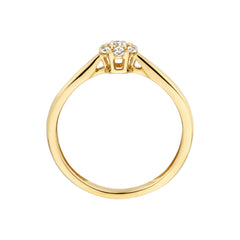Blush 14 karat gold Ring 1248YZI/60