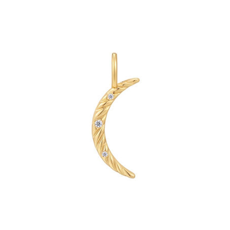 Ania Haie Pop Charms Gold Coloured Charm AH-NC048-10G-zoom-