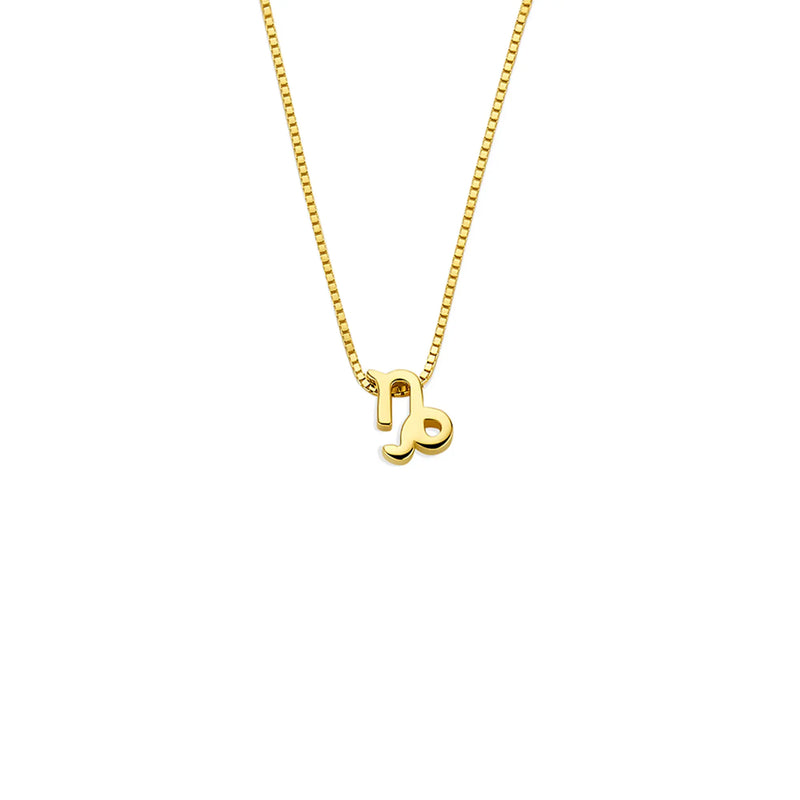 Isabel Bernard Étoiles d’Or Capricorn 14 Carat Gold Venetian Necklace With Horoscope IB340187-zoom-