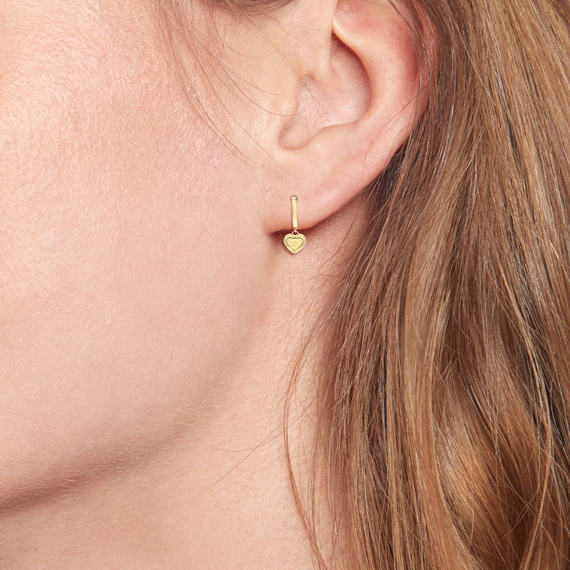 Tommy Hilfiger Acier Inoxydable Doré Femme Boucles d'Oreilles TJ2781014-zoom-