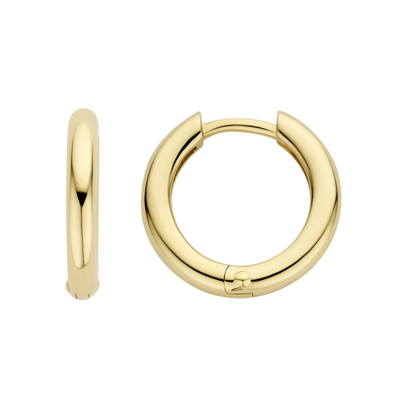 Blush 14 Karaat Gouden Oorbellen 7317YGO