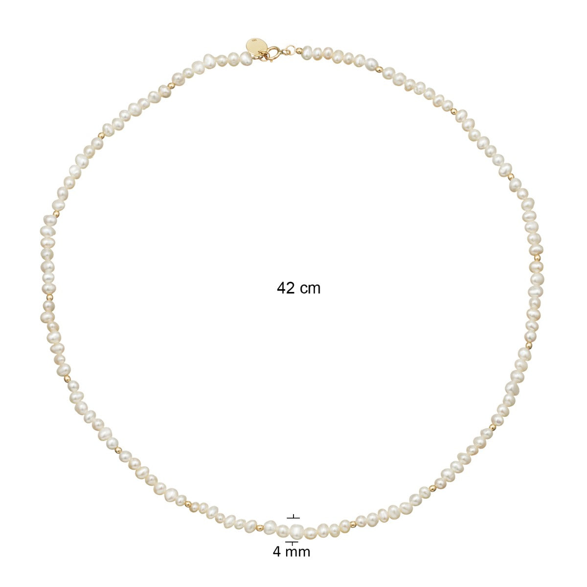 Jackie Gold 14 karat gold Necklace JKN24.408
