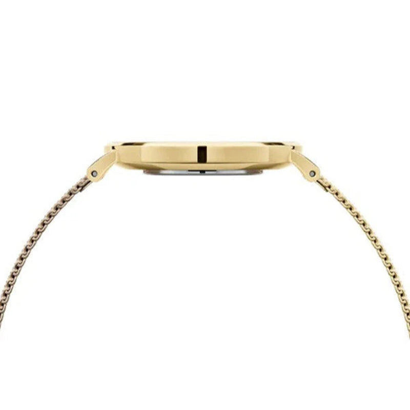 Daniel Wellington Capite montre femme DW00100481-zoom-