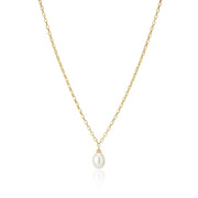 Sif Jakobs Gold Plated Padua Uno Necklace SJ-N2455-P-YG