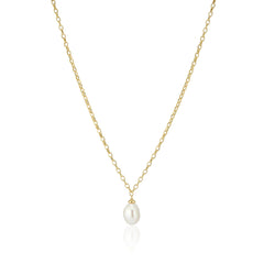 Sif Jakobs Gold Plated Padua Uno Necklace SJ-N2455-P-YG