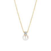 Blush Collier en or 14 carats 3163YPW