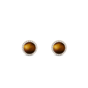 Daniel Wellington Audrey Tiger Eye Boucles d'oreilles DW00401409