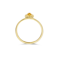 Blush 14 karat gold Ring 1239YMC/56