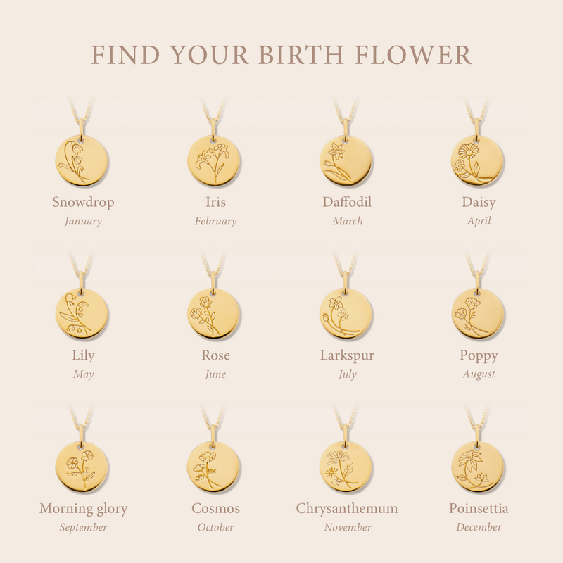 Violet Hamden Venus Collier en Argent 925 Sterling Plaqué Or avec Fleur de Naissance VH340025-JAN-zoom-